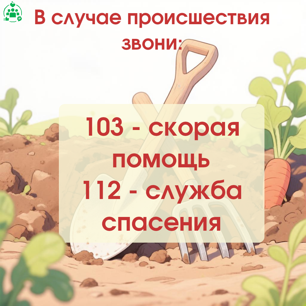 54-07_689_19_06_2026_Огород_7.png