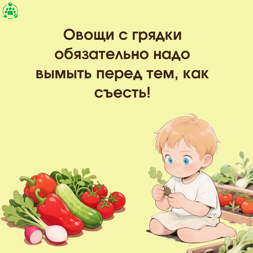 54-07_689_19_06_2026_Огород_5.png