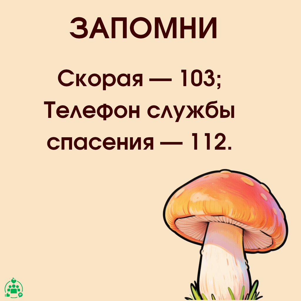 54-07_931_01_09_2026_Грибы_6_.png